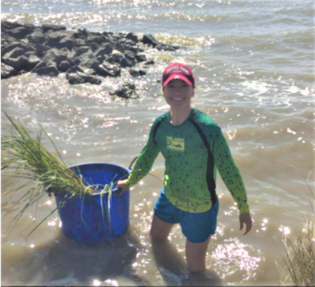 Volunteer Planting Cordgrass for Galveston Bay Foundation