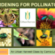 Gardening for Pollinators webinar