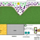 Pollinator Garden Design for Large Spaces