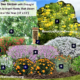 Native plant garden illustration